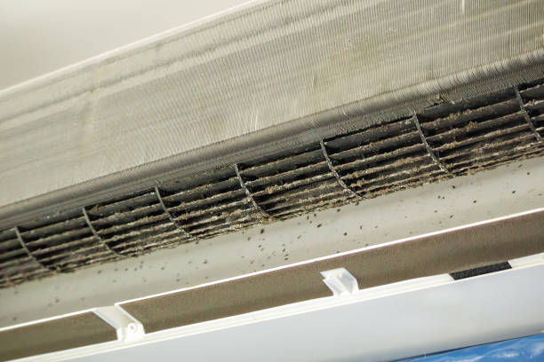 Best Air Duct Cleaning Near Me  in Montverde, FL